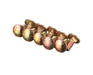 Image of 280327 CARRIAGE BOLT 