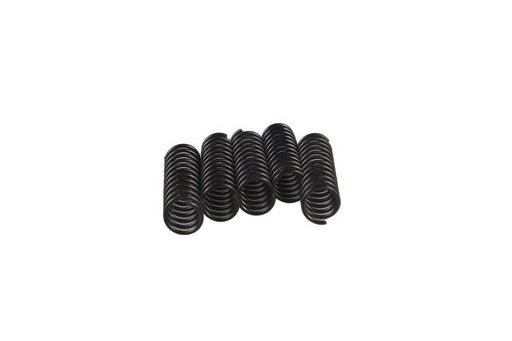 Image of 34019 SPRING 