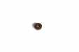 Image of 40102813 GASKET 