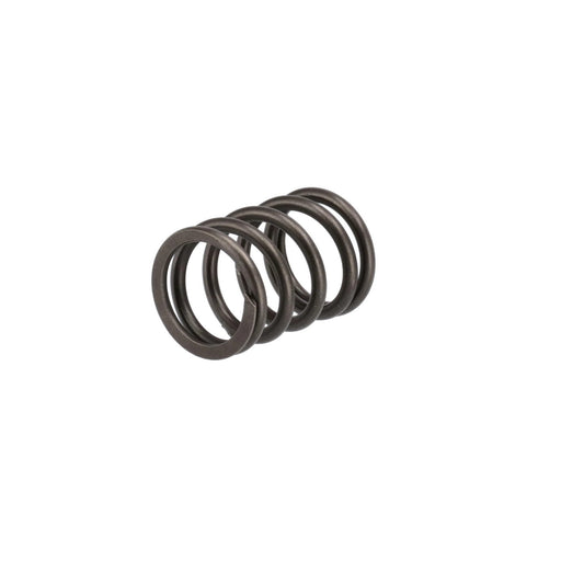 Image of 4812347 SPRING 