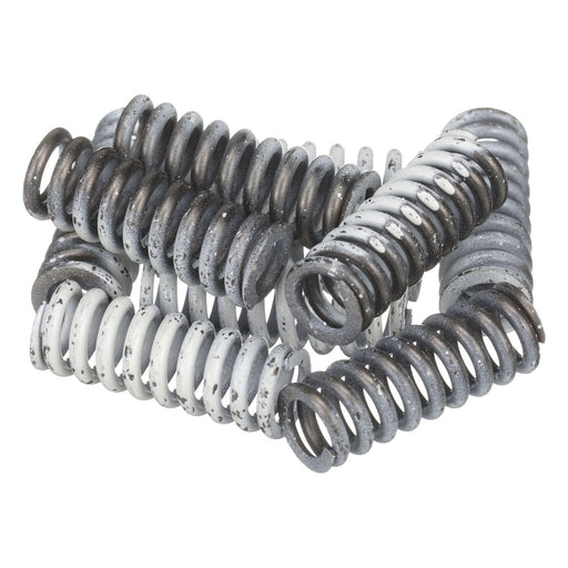 Image of 4966305 SPRING 