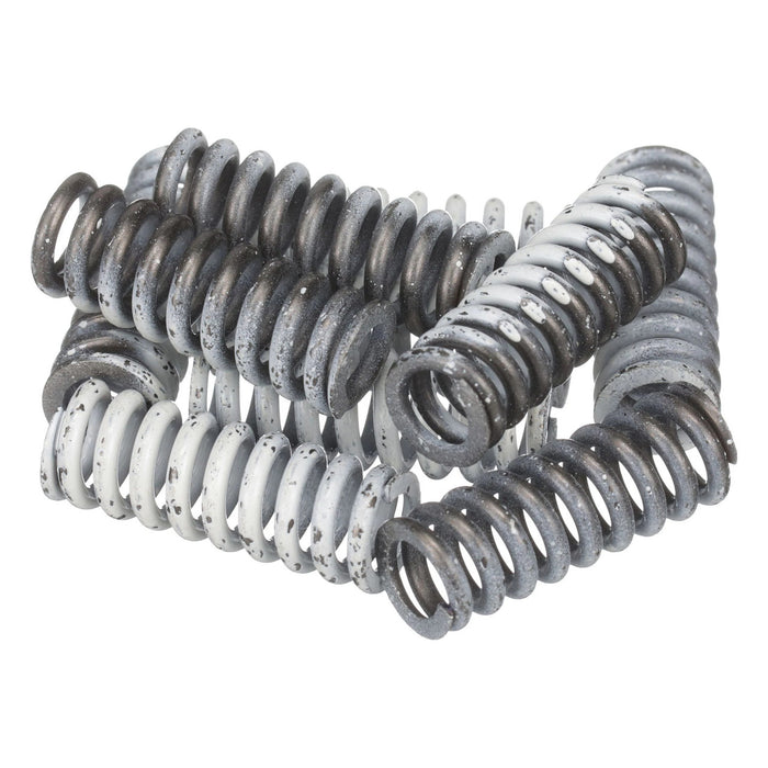 Image of 4966305 SPRING 