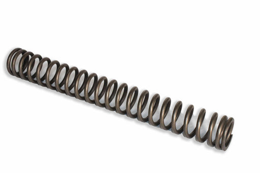 Image of 5094199 SPRING 