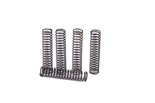 Image of 5103058 SPRING 