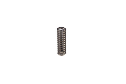 Image of 5114402 SPRING 