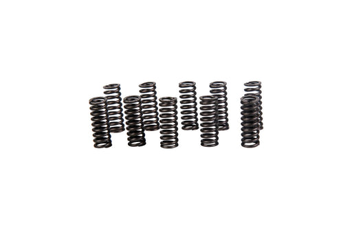 Image of 5120761 SPRING 