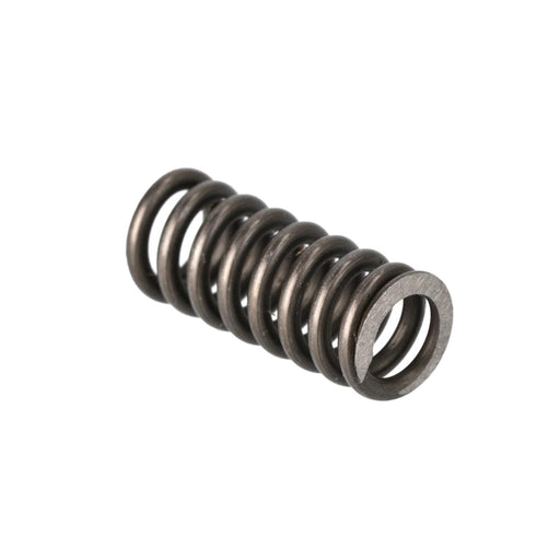 Image of 5128251 SPRING 