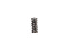 Image of 5143556 SPRING 