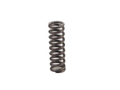 Image of 5155844 SPRING 