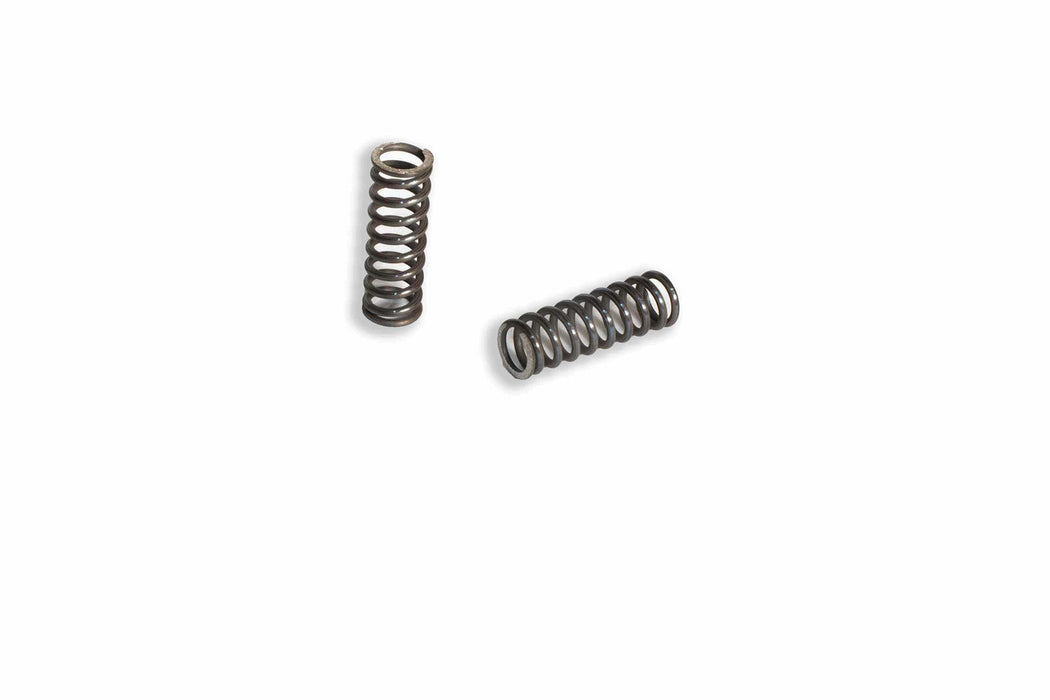 Image of 5156289 SPRING 