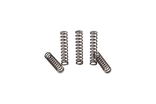 Image of 5157487 SPRING 