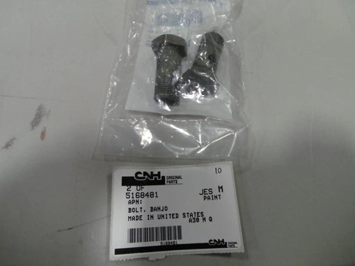 Image of 5168481 BANJO BOLT 