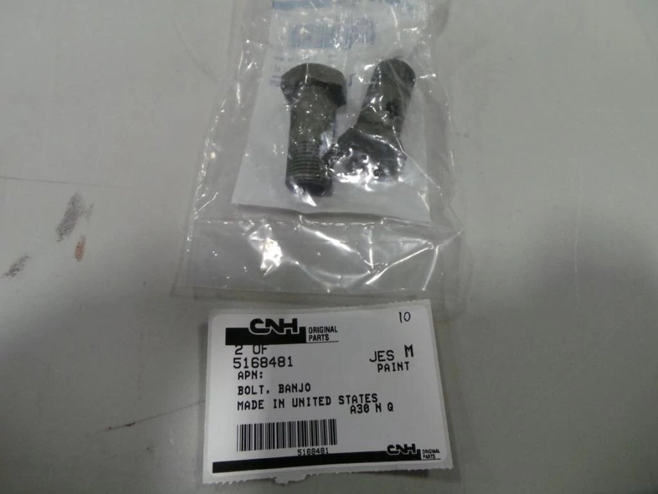 Image of 5168481 BANJO BOLT 