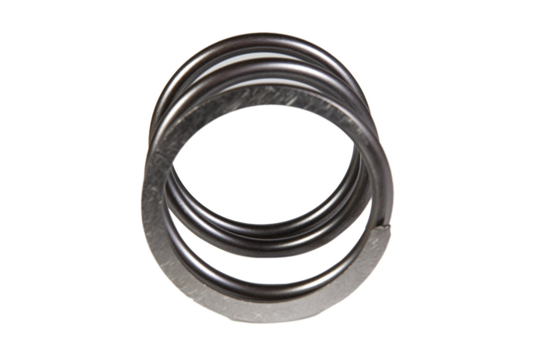Image of 5171681 SPRING 