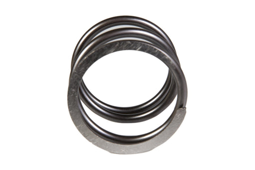 Image of 5171681 SPRING 