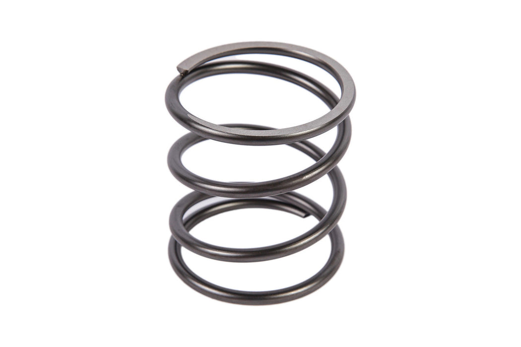 Image of 5175670 SPRING 