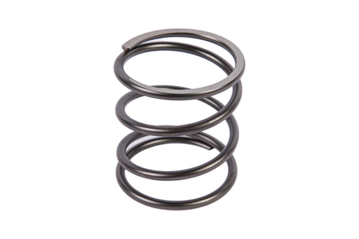 Image of 5175670 SPRING 
