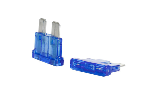 Image of 84090658 FUSE 