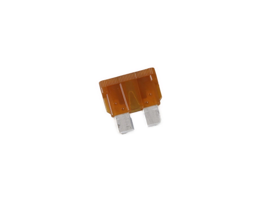 BM24 FUSE