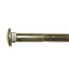 Image of 88992 CARRIAGE BOLT 