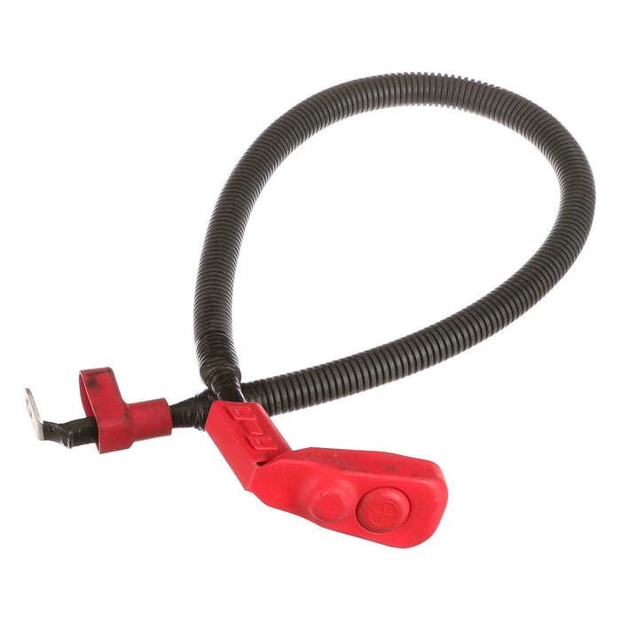 WM33 POS BATTERY CABLE