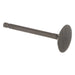 Image of SBA120166270ENGINE INLET VALVE 