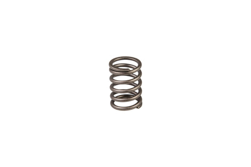 Image of SBA198216700 VALVE SPRING 